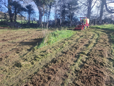 Cutting overgrown grass - showing areas before and after cutting by PJ Services, Sligo, Ireland