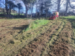 Cutting Overgrown Grass