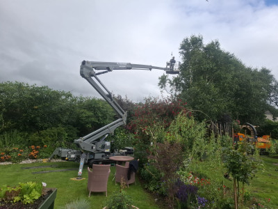 hedge trimming service throughout North-West Ireland & Northern Ireland from PJ Services, Sligo